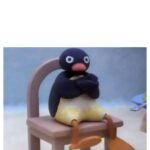 میم خام نشستن پنگوئن