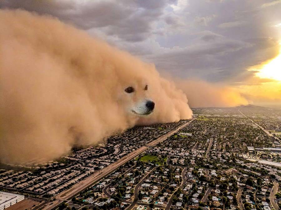 میم خام طوفان گردباد سگ