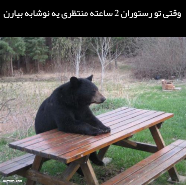 میم خرس بی کار-میم وقتی منتظری