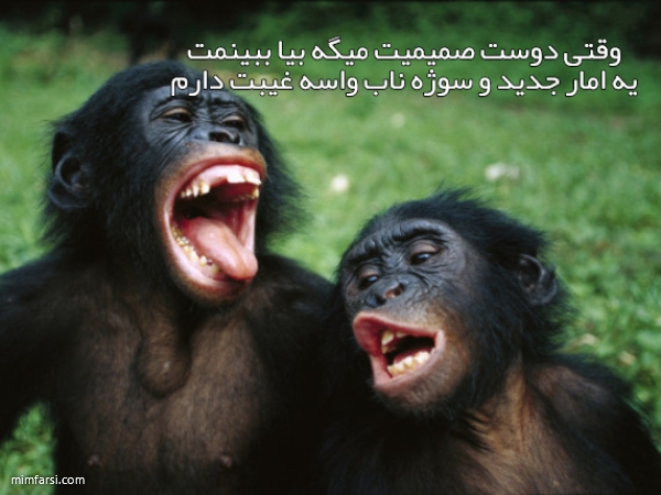 میم میمون های خوشحال  میم وقتی دوست صمیمیم میگه…