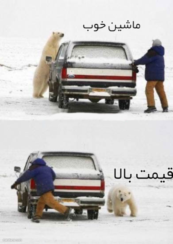 میم خرس در برف-میم قیمت ماشین