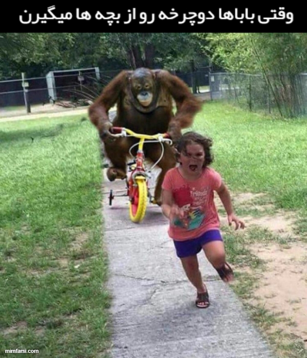 میم فرار دختر بچه از میمون-میم وقتی باباها دوچرخه...