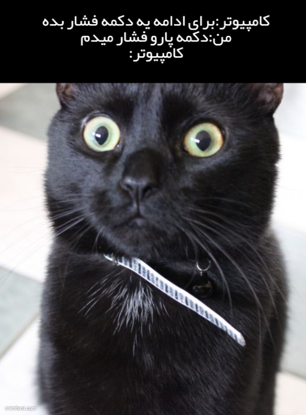 میم گربه سیاه-میم وقتی میگه برای ادامه یک دکمه...