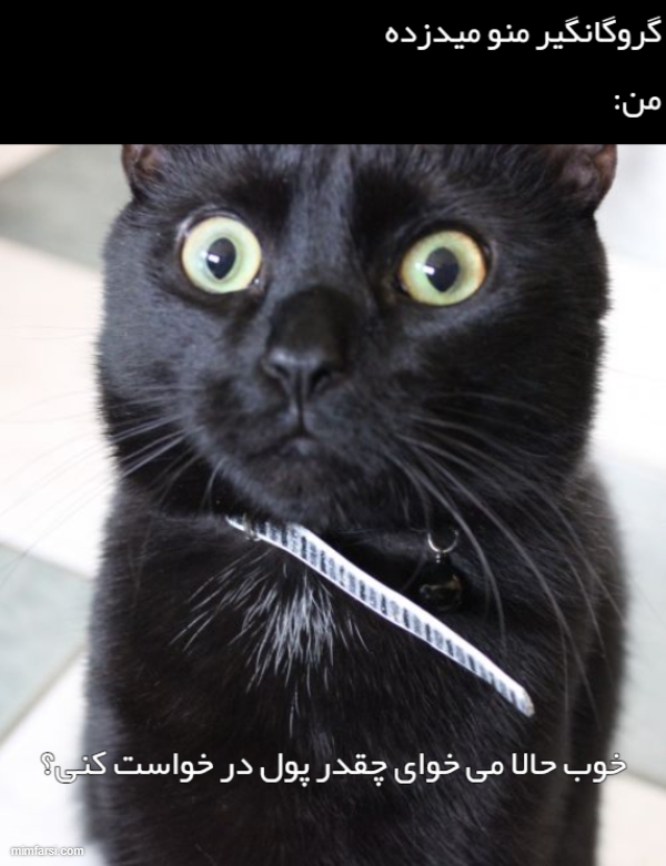 میم گربه سیاه - گروگانگیر منو میدزده