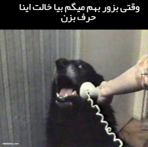 میم صحبت کردن سگ با تلفن-میم وقتی بزور بهم میگن...
