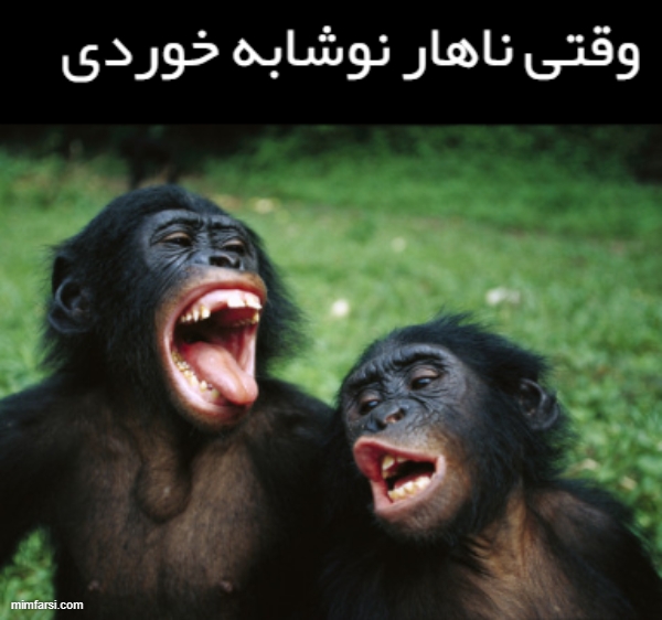 میم میمون های خوشحال-میم وقتی ناهار نوشابه میخوری