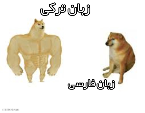 میم  دوج کوین بدن ساز|زبان تورکی زبان فارسی