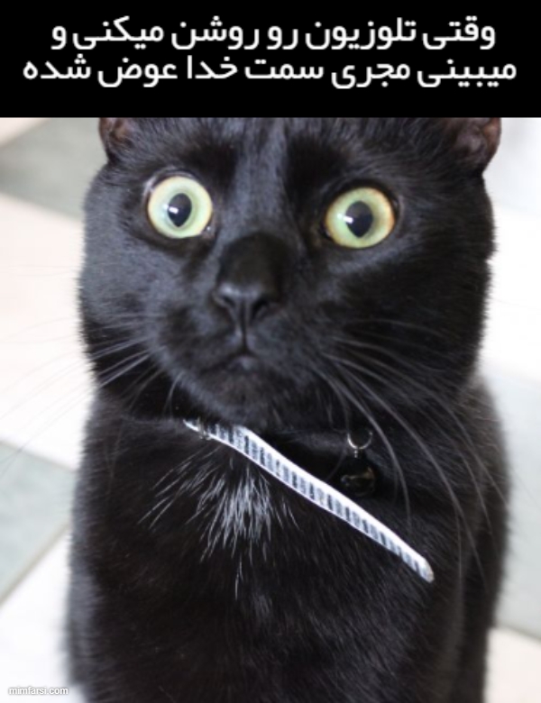 میم گربه سیاه میم وقتی میبینی مجری سمت خدا عوض شده